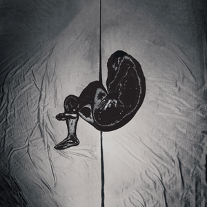 猛攻和小受做爱视频
